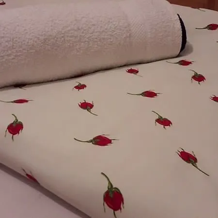 Lilly Corner Apartamento Bihać