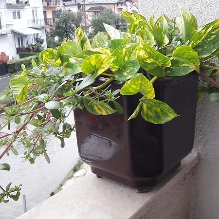 Lilly Corner Apartamento *