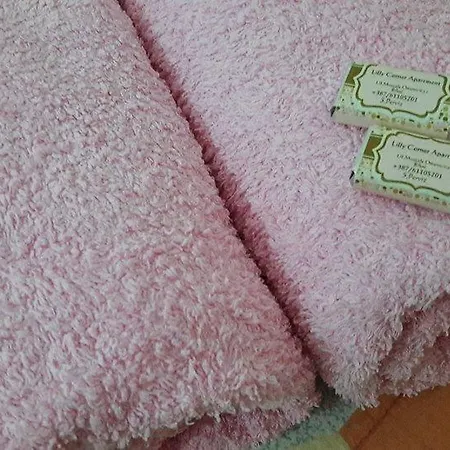 Lilly Corner Apartamento